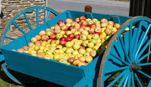 apple cart